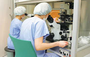 Insemination work