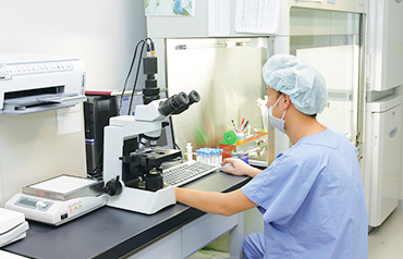 Insemination work
