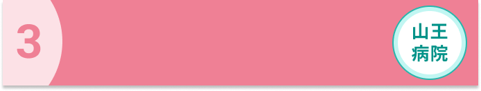 subsidy_flow3