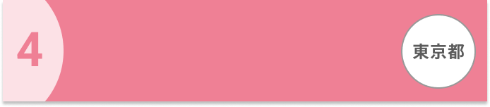 subsidy_flow4